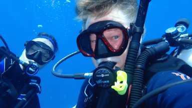 Dive professional