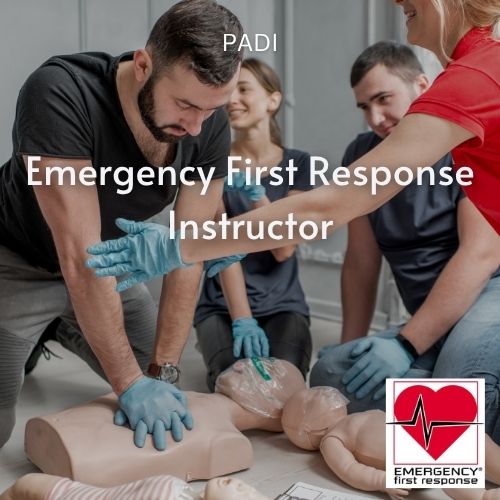 Emergency First Response Instructor
